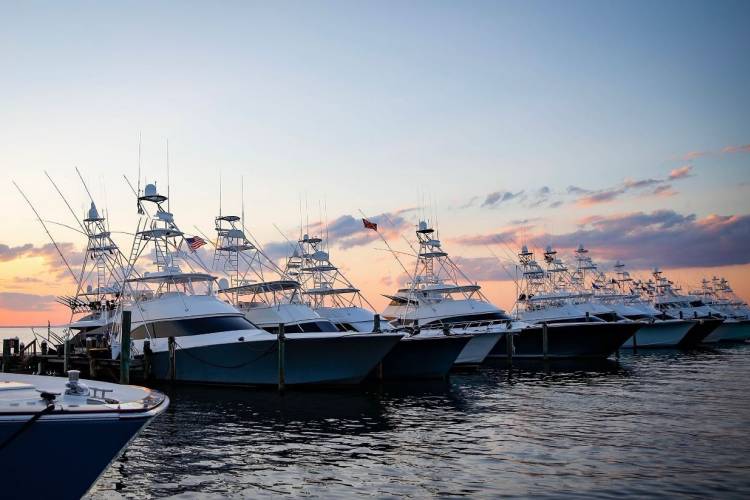 Emerald Coast Blue Marlin Classic Coastal 30A Destinations