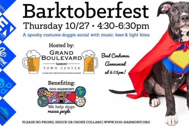 Barktoberfest 2024 Riverside Resort Edy Sonnnie