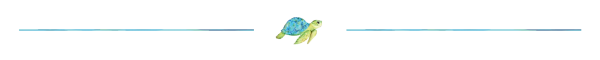 Turtle Logo