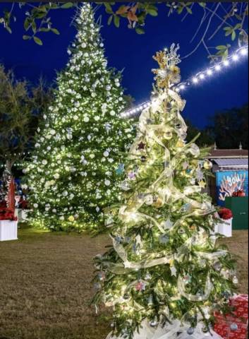 Photo From Grand Boulevard Grand Boulevard Festival of Trees